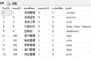 利用SqlServer实现分页