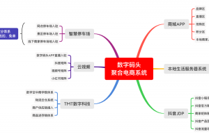 聚合电商平台数字码头APP开发案例之系统规划开发实例