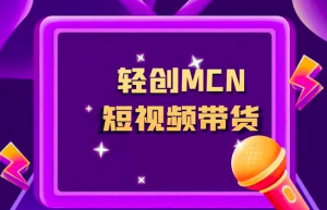 轻创MCN系统模式制度分析和开发案例实战分享缩略图