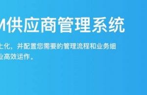 塑化行业SRM供应商管理系统开发分析缩略图