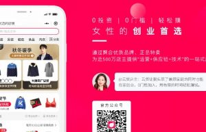 云货优选系统开发以及商业模式深度分析缩略图