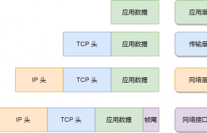 计算机网络体系缩略图