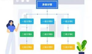 多⽤户电商分销系统APP开发案例功能分析插图