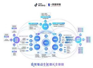 抖⾳电商系统APP开发案例功能分析插图