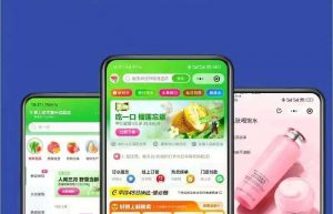 ⽣鲜O2O系统APP开发功能需求架构缩略图