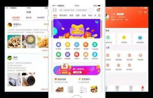 淘客系统APP技术开发案例功能分析缩略图