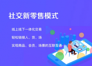 什么是新零售社交电商系统？带你深度了解！插图2