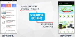 区块链通证系统小程序开发架构分析插图