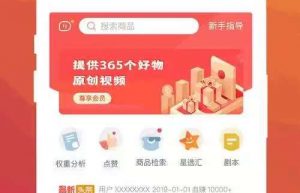 种草电商系统小程序系统功能开发缩略图