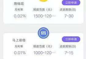 贷超系统APP技术机构功能开发案例分析缩略图