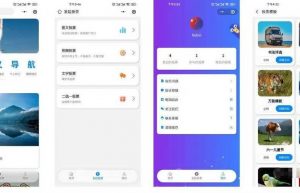 投票系统app功能规划开发案例缩略图