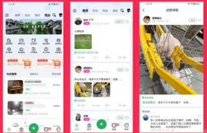 活动报名组队搭子小程序系统APP开发案例功能分析缩略图